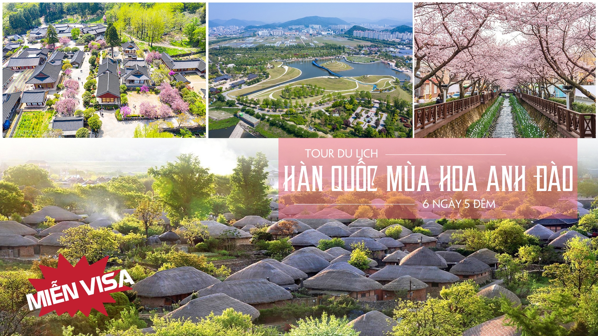 Du lịch Hàn Quốc ngắm hoa anh đào (Tour Miễn Visa)