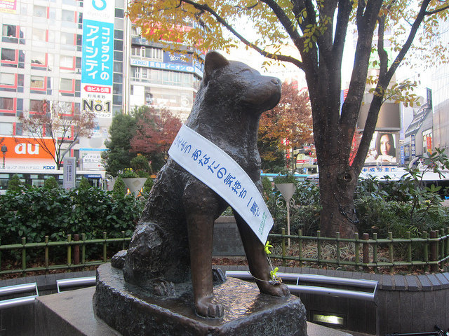Bức tượng Hachiko và câu chuyện về chú chó trung thành nhất Nhật Bản - Du  lịch mở Toàn Cầu | Tổ chức tour chuyên nghiệp