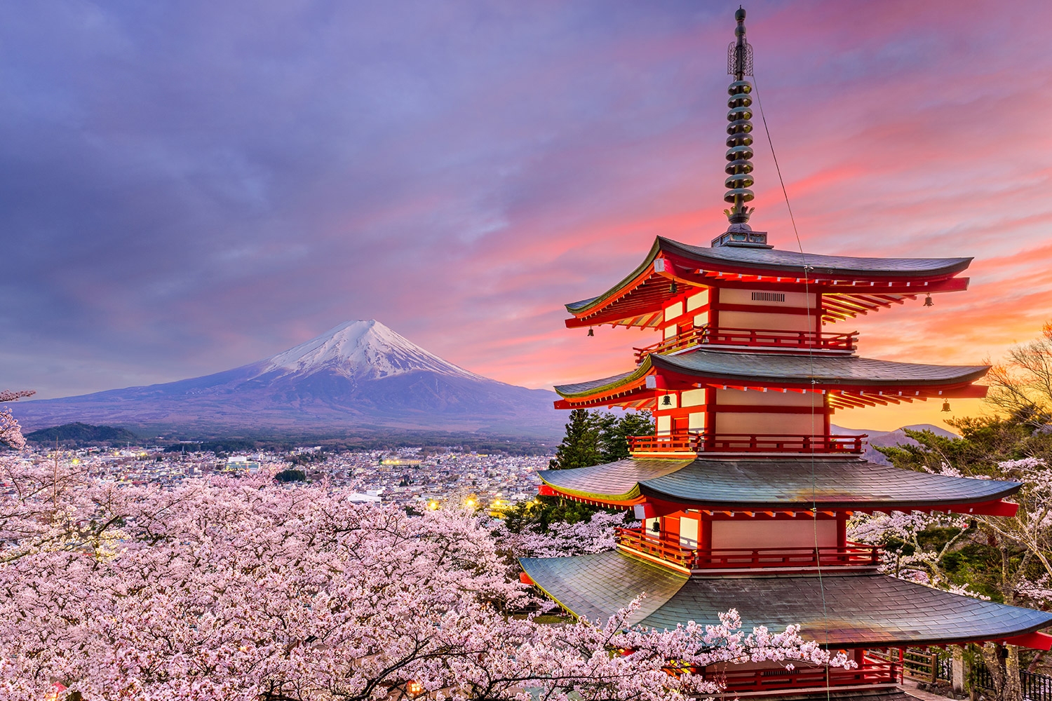 Lên lịch đón mùa hoa anh đào Nhật Bản 2024