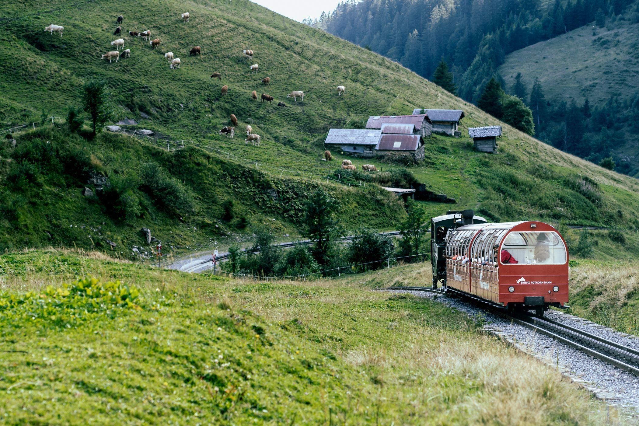Cận cảnh chuyến tàu hơi nước đưa khách đi chinh phục đỉnh núi 2.300m ở Thụy Sỹ