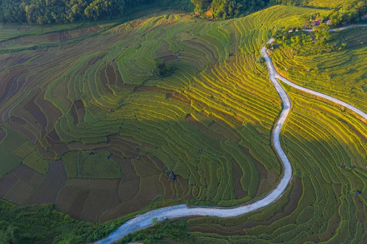 Hương lúa chín trên Pù Luông