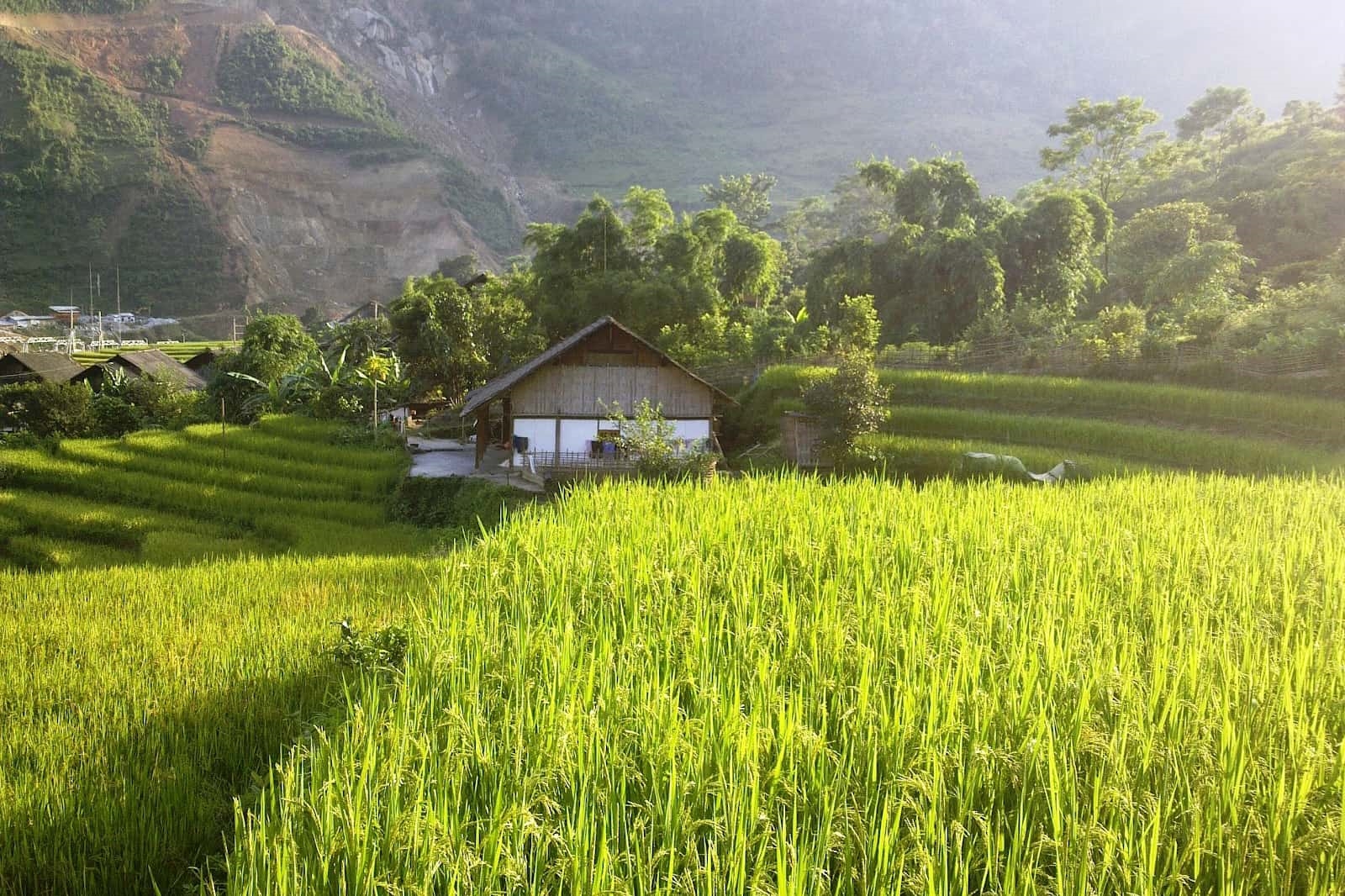 Sapa Trekking And Homestay