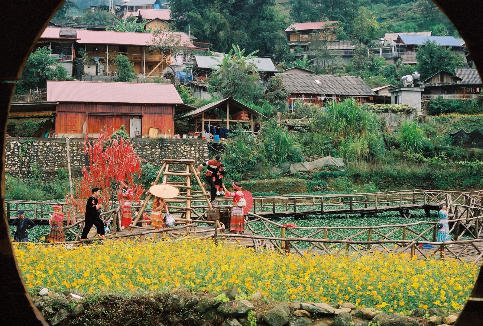 Tour To Sapa