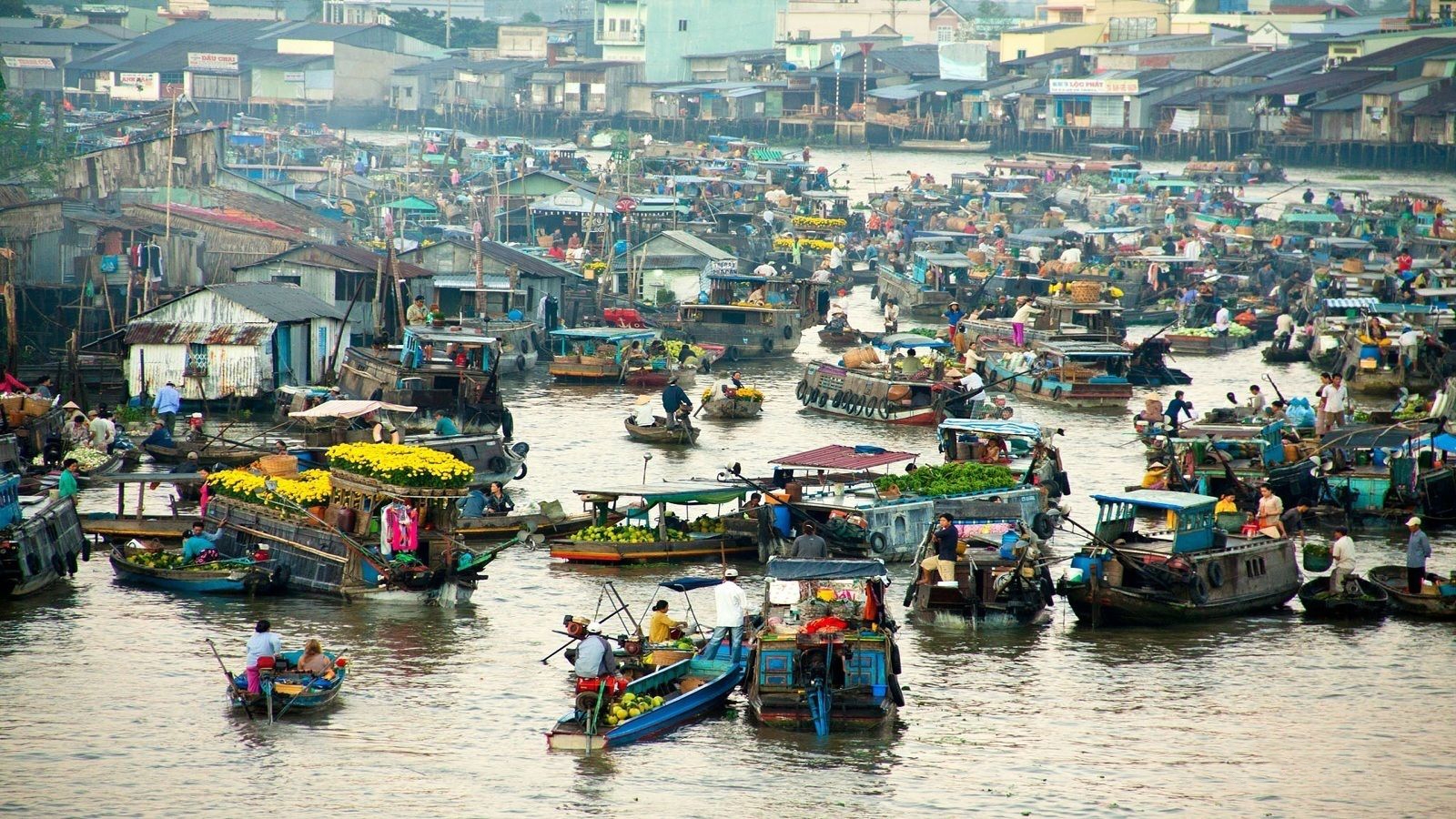 Mekong Delta Explorer