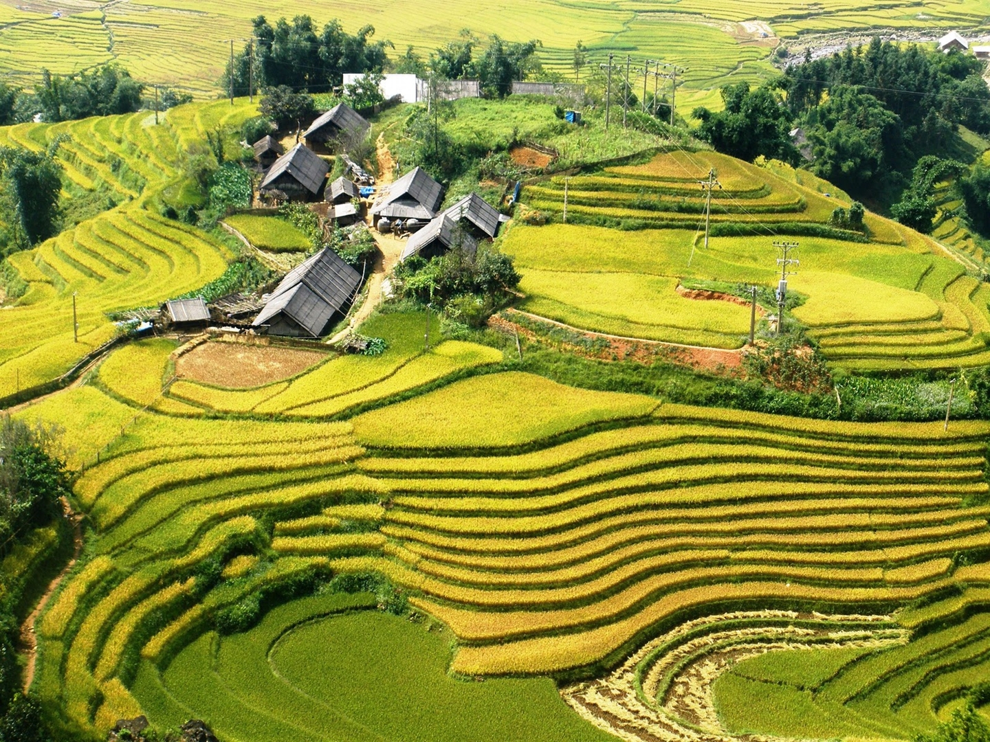 Sapa Market Visit