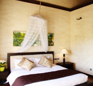 Accommodation10