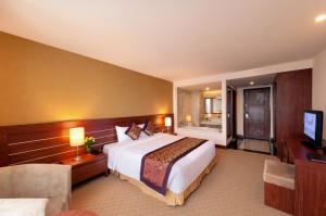 Executive_Deluxe_Double_12