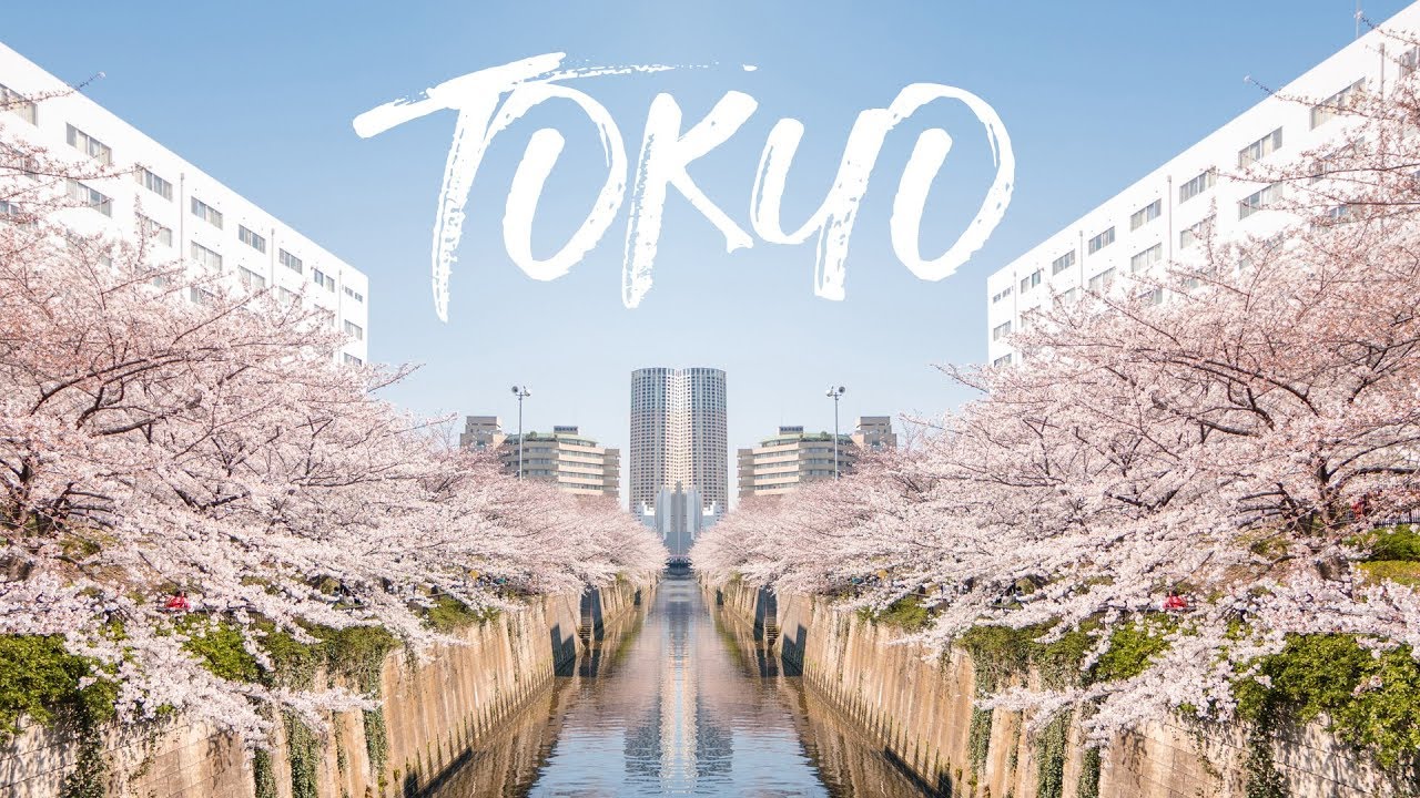 Lịch khởi hành Nhật Bản Mùa Hoa Anh Đào 2020
